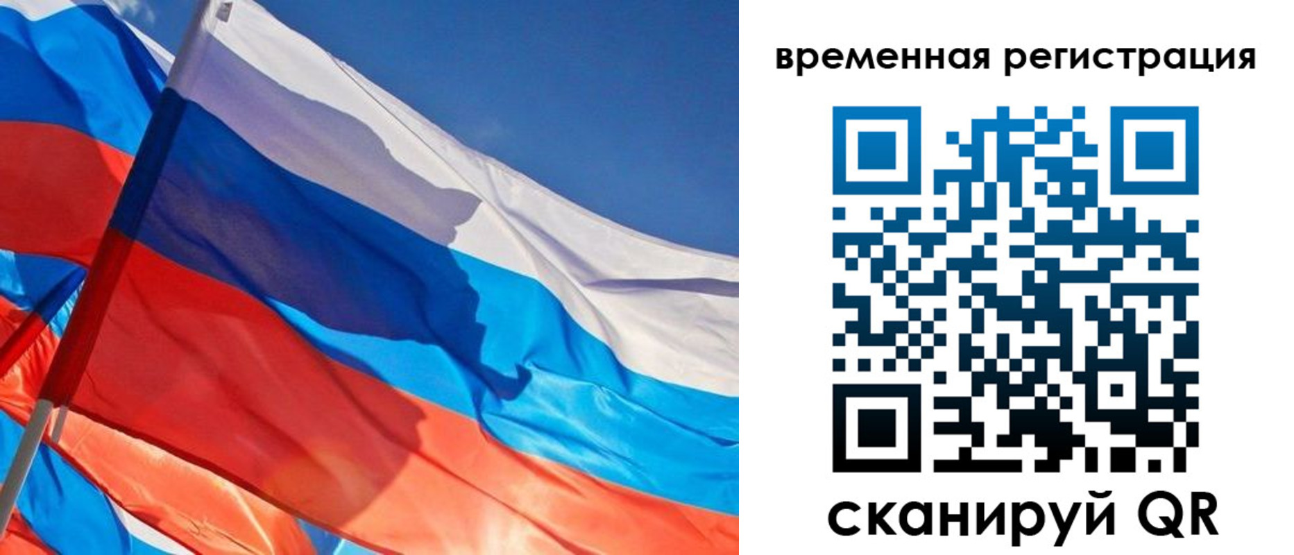 прописка гарантия в Владимире